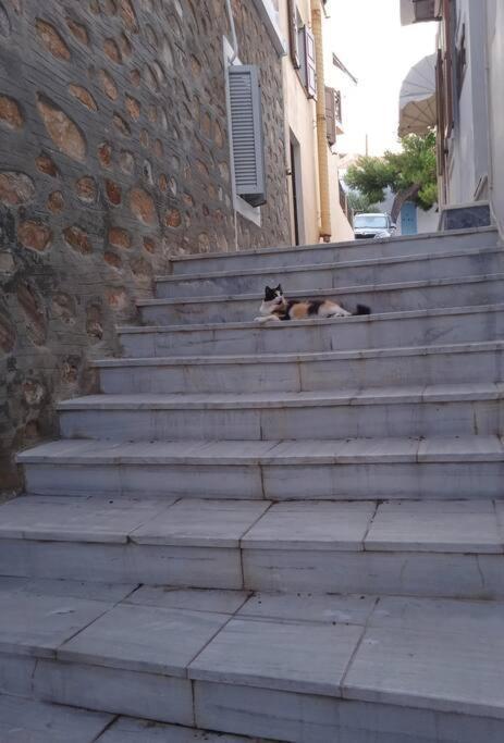 埃尔莫波利斯Syros Stone Yard House别墅 外观 照片